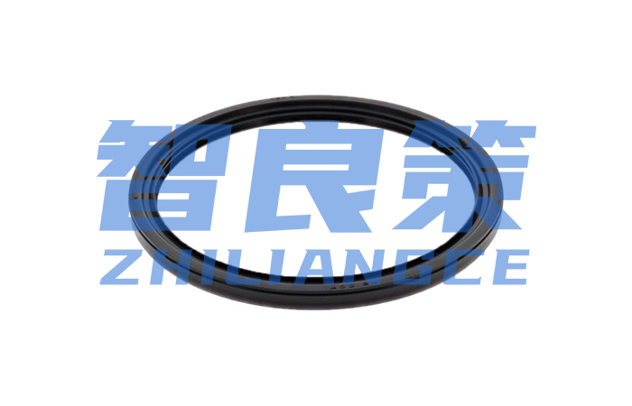 安川機(jī)器(qì)人(rén)油封【智良策】